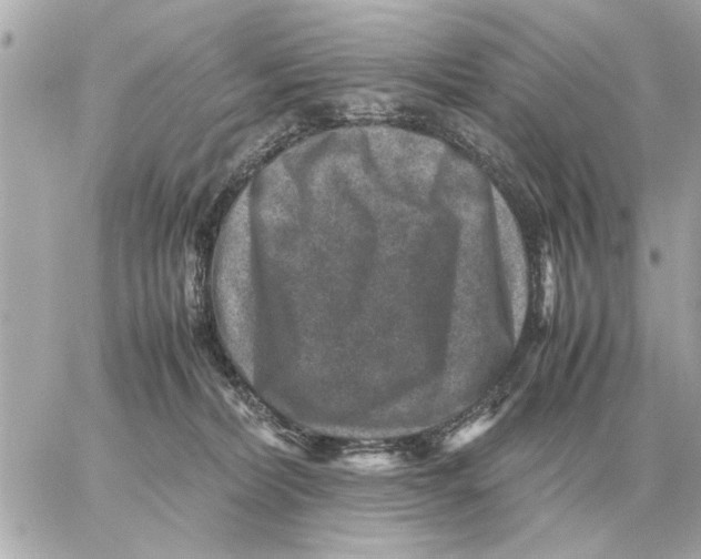 X0000059070228200511041803