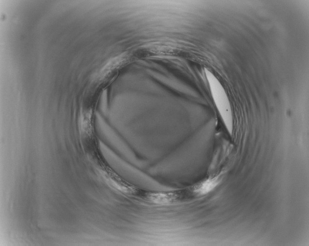 X0000059070239200511041803