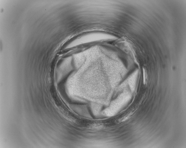 X0000059070252200511041802