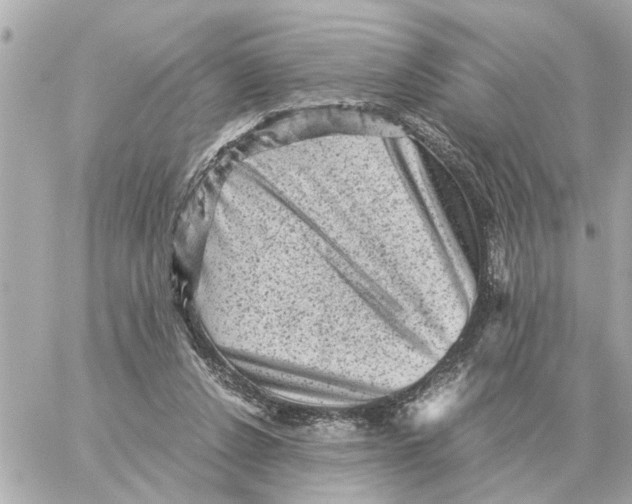 X0000059070256200511041802