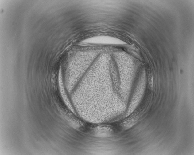 X0000059070270200511041802