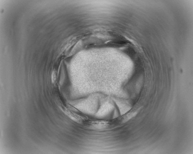 X0000059070288200511041803