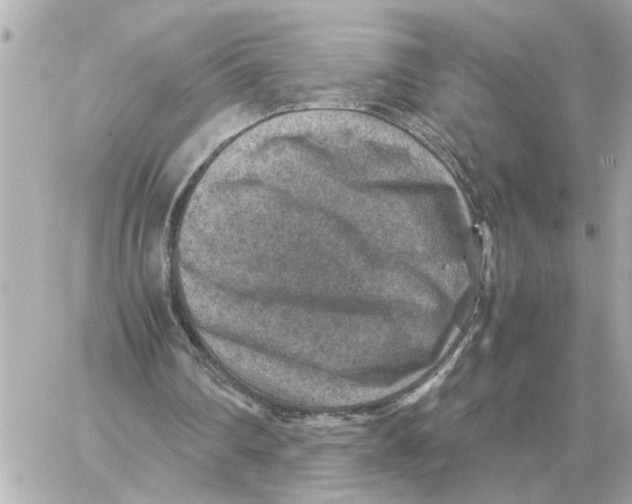 X0000059070290200511041802