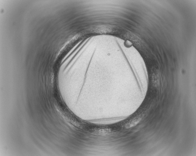 X0000059070304200511041801