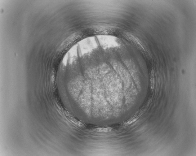 X0000059070314200511041801