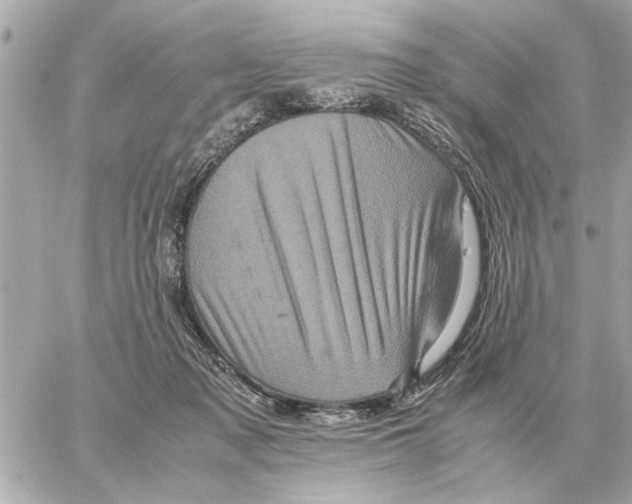 X0000059070317200511041801