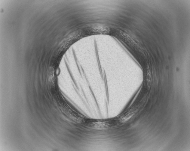 X0000059070320200511041801