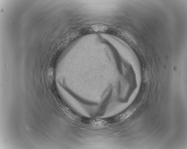 X0000059070321200511041801