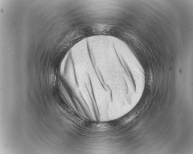 X0000059070324200511041801