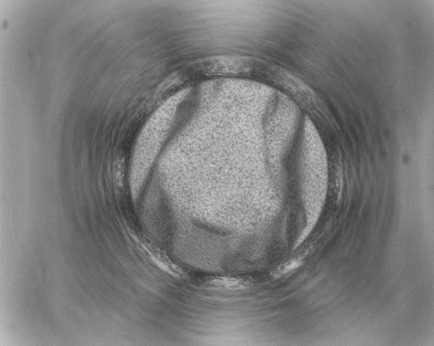 X0000059070326200511041801