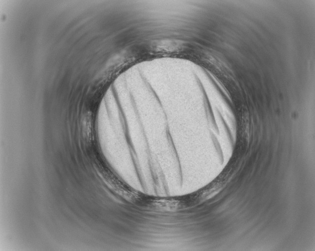 X0000059070328200511041801
