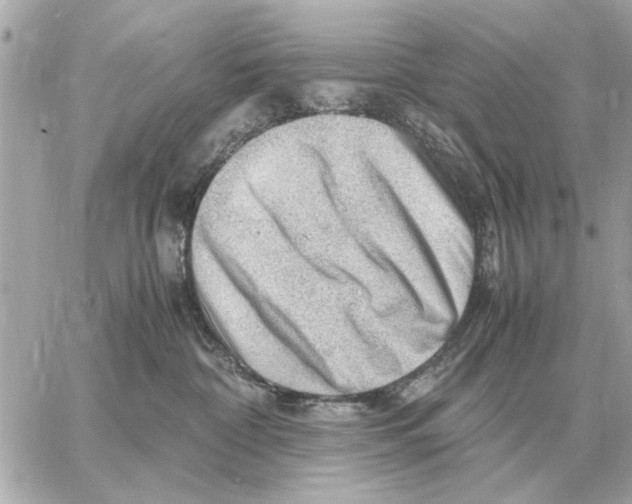 X0000059070332200511041801