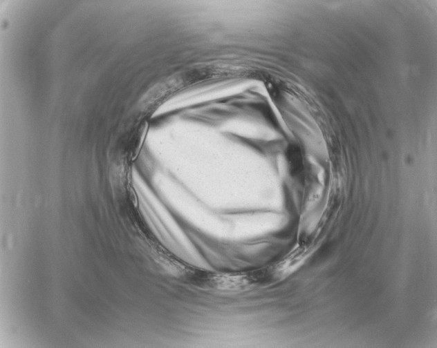 X0000059070333200511041801