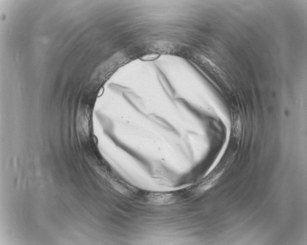 X0000059070334200511041801