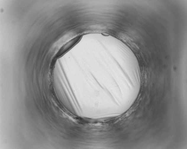 X0000059070338200511041800