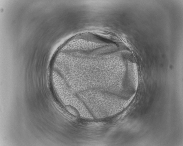 X0000059070342200511041800