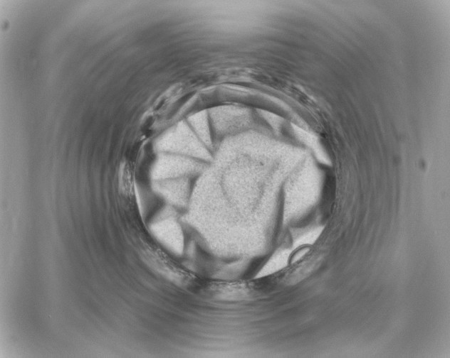 X0000059070384200511041801