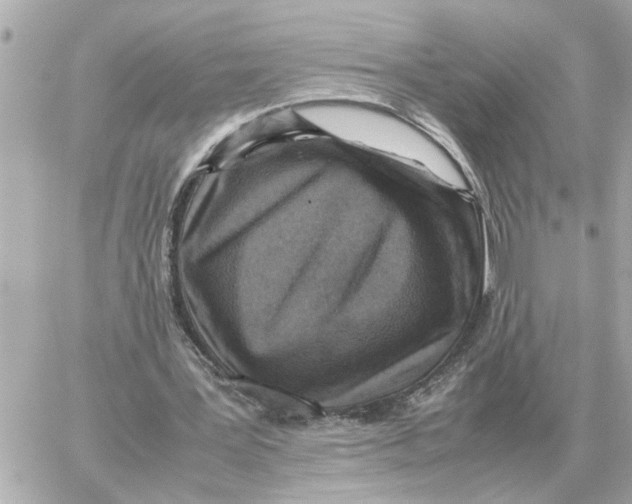 X0000059070387200511041800