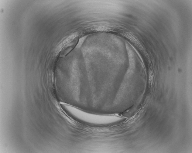 X0000059070397200511041800