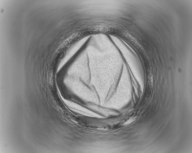 X0000059070403200511041800