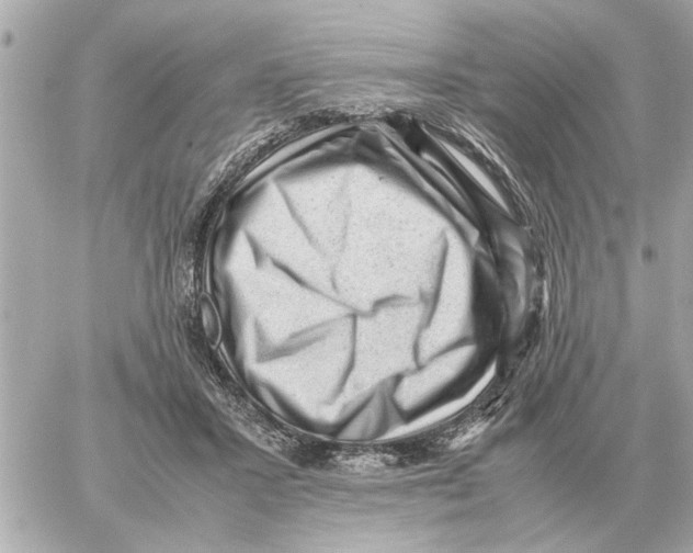 X0000059070407200511041800