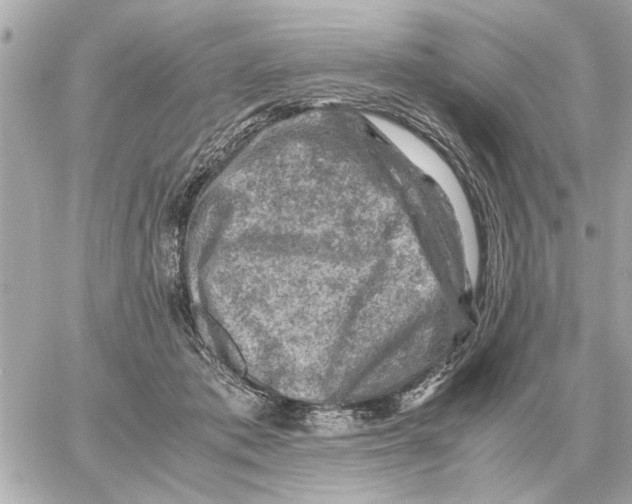 X0000059070413200511041800