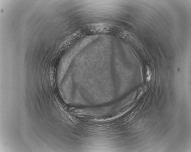 X0000059070416200511041800