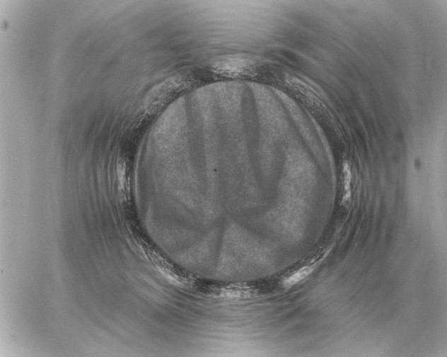 X0000059070420200511041759