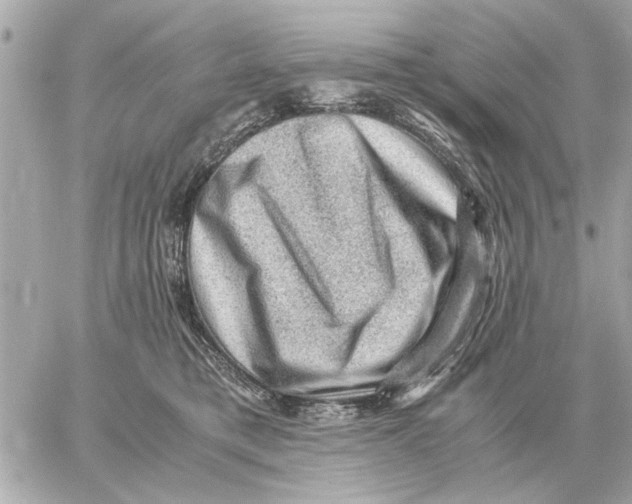 X0000059070421200511041759