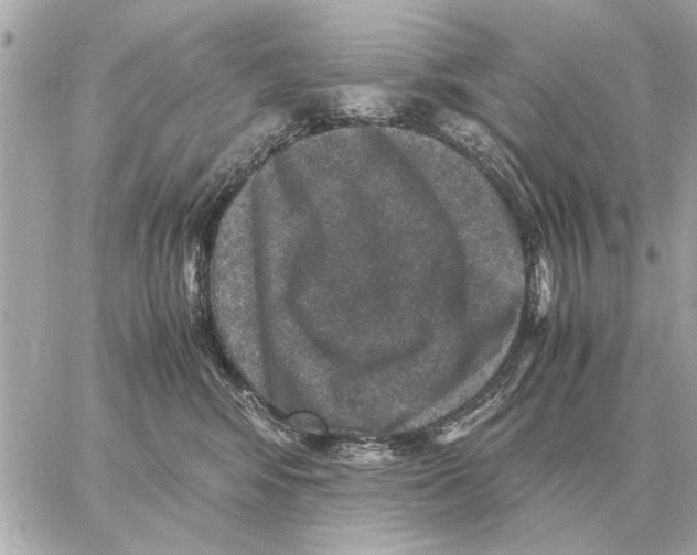 X0000059070424200511041759