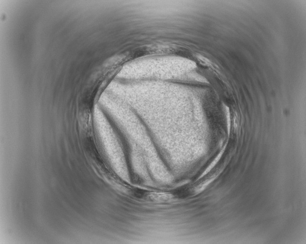 X0000059070429200511041759
