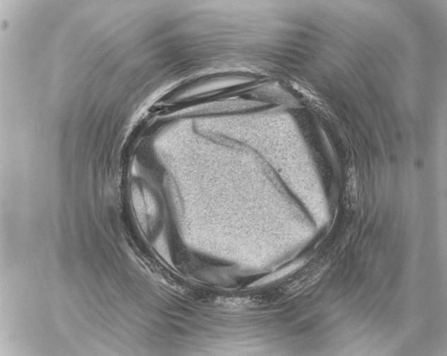 X0000059070440200511041759