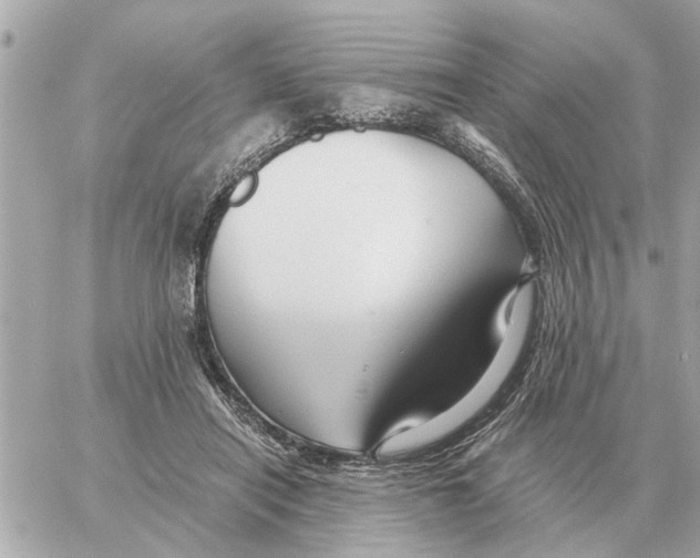 X0000059070454200511041759