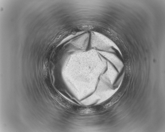 X0000059070460200511041759