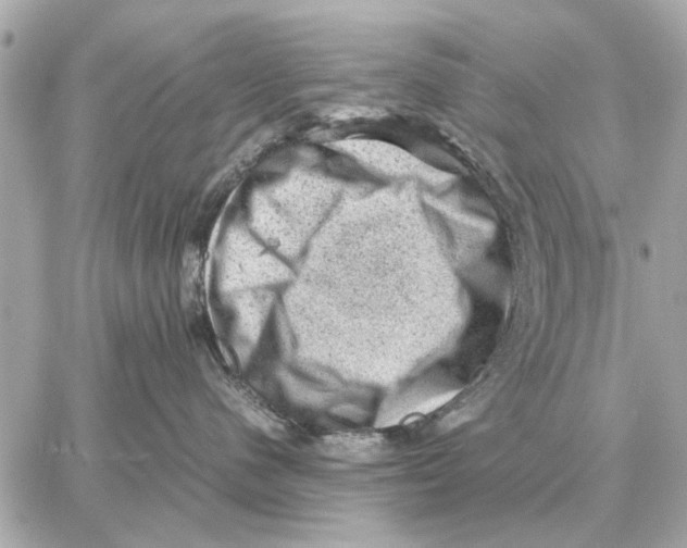 X0000059070480200511041759