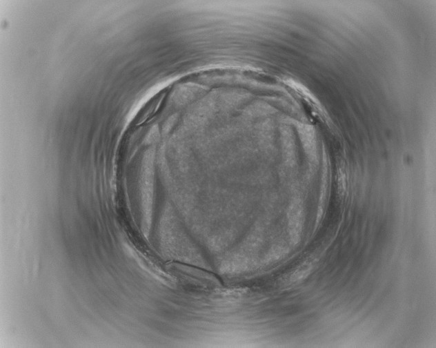 X0000059070484200511041758