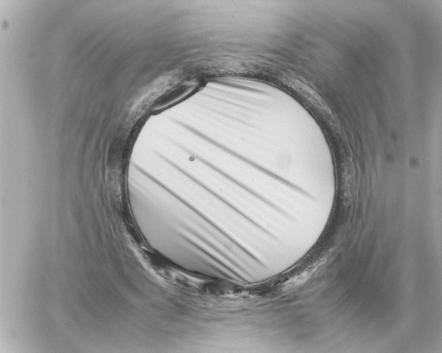 X0000059070489200511041758
