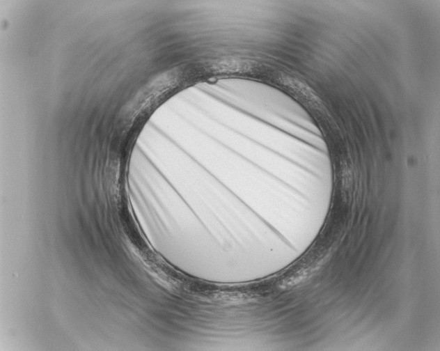 X0000059070490200511041758