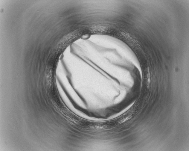 X0000059070498200511041758