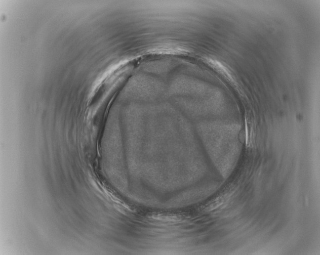 X0000059070531200511041757