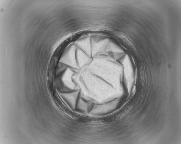 X0000059070536200511041757