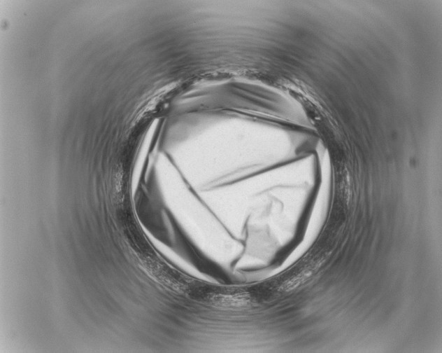 X0000059070548200511041757