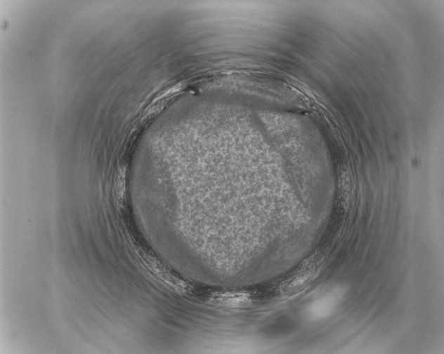 X0000059070554200511041757