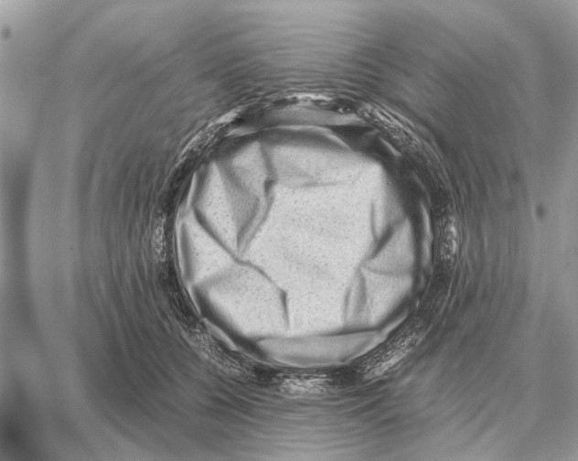 X0000059070560200511041757