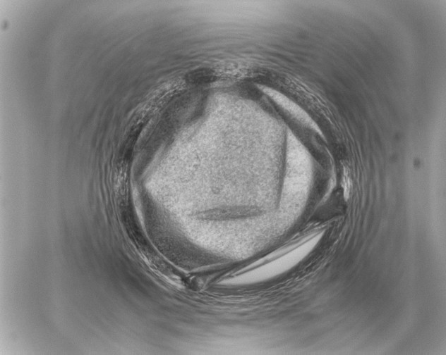 X0000059070601200511041756