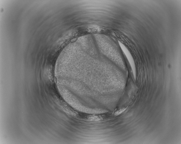 X0000059070616200511041756