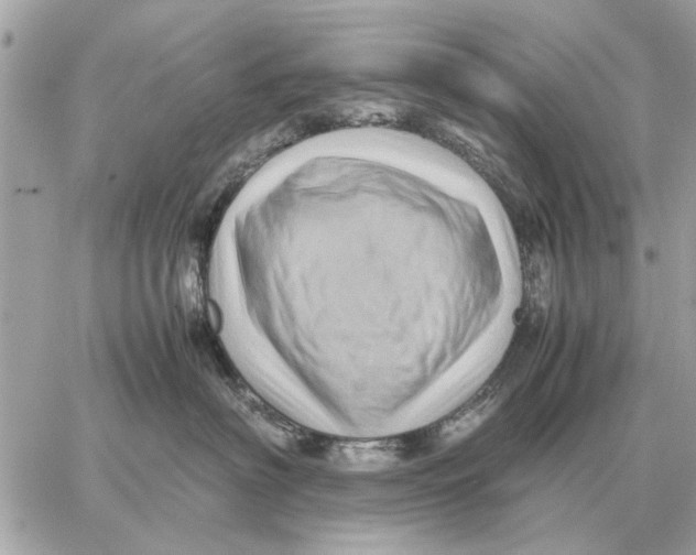 X0000059070622200511041756