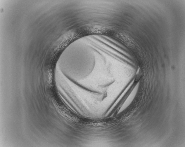 X0000059070646200511041756