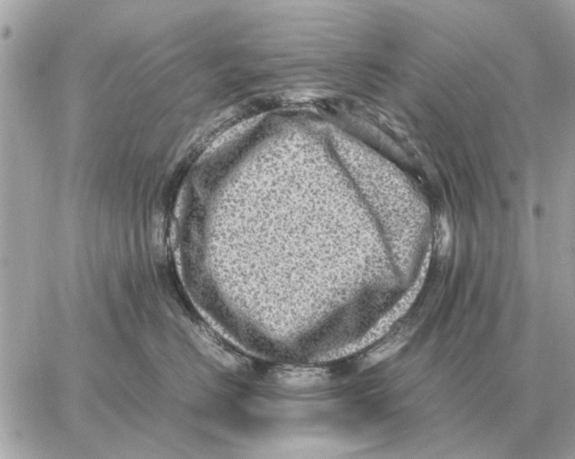 X0000059070670200511041756