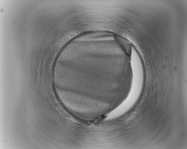 X0000059070673200511041755